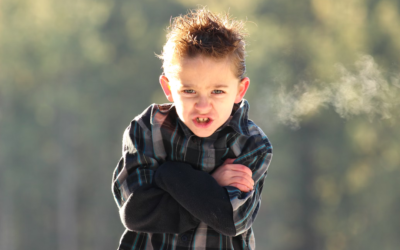 The Content Bridge: How to Transition Cold Leads to Warmth Through Social Media